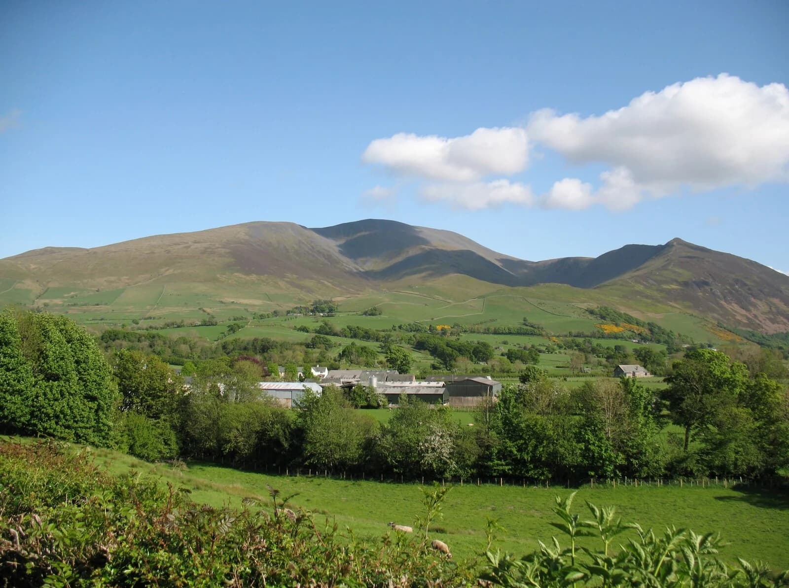 Green fields below the long ridge of Skiddaw, seen from near Bassenthwaite village