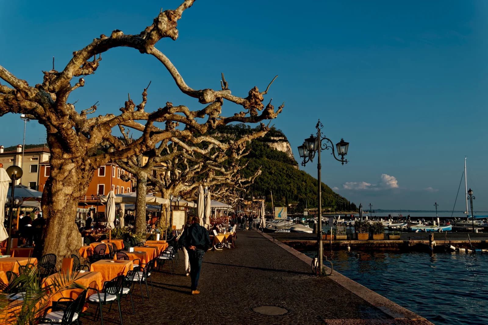 Plane trees and cafe tables along the Lungolago Regina Adelaide promenade in Garda town