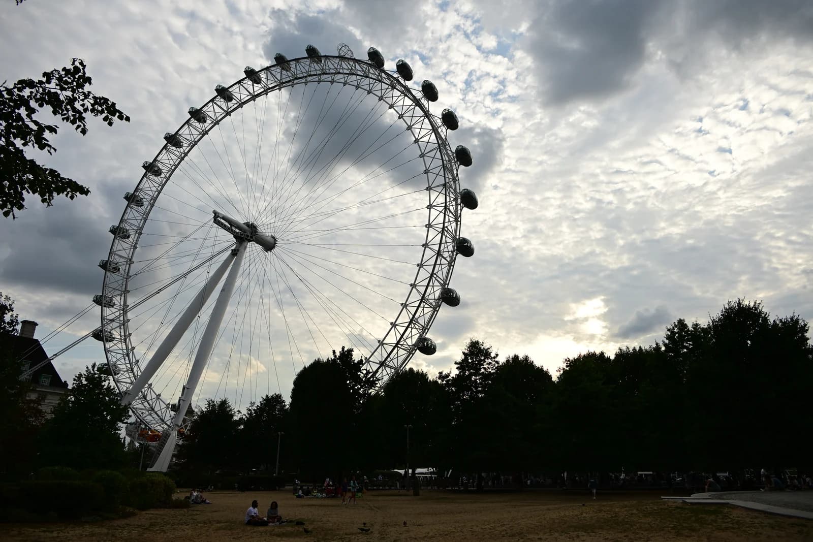 The London Eye rising above the lawns of Jubilee Gardens on the South Bank