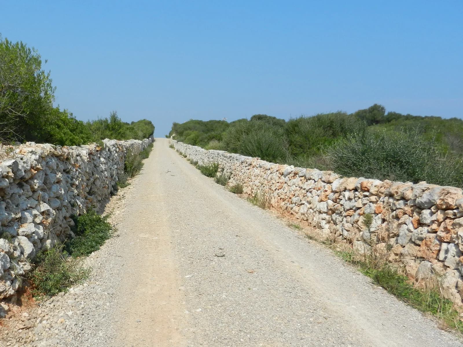 The old lane between dry-stone walls at Cami Vell de Biniancolla near Punta Prima