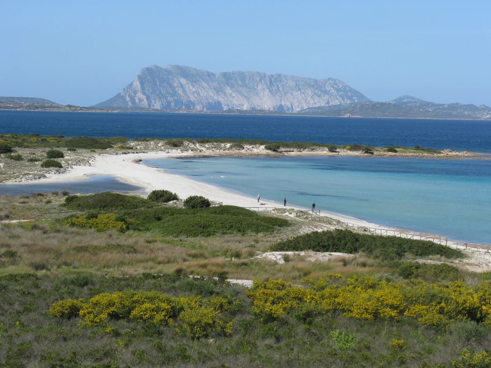 L'Isuledda beach at San Teodoro with the island of Tavolara behind