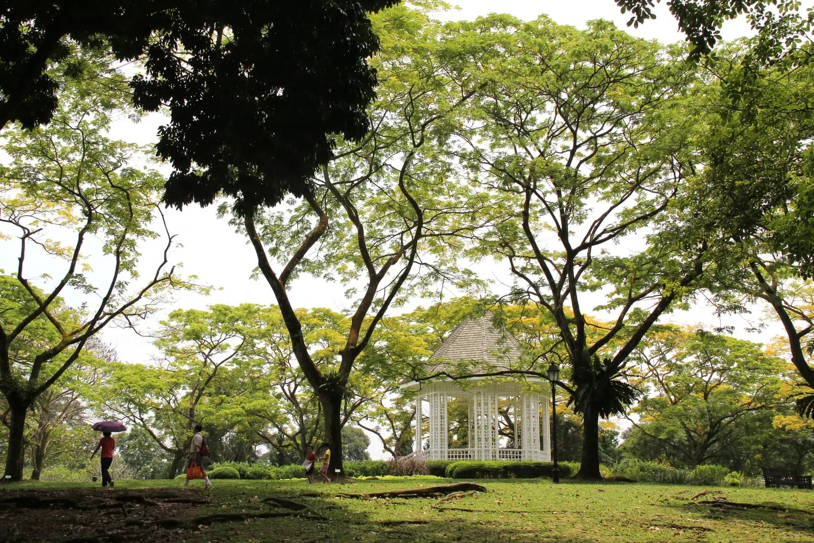 The white bandstand on its lawn in the Singapore Botanic Gardens