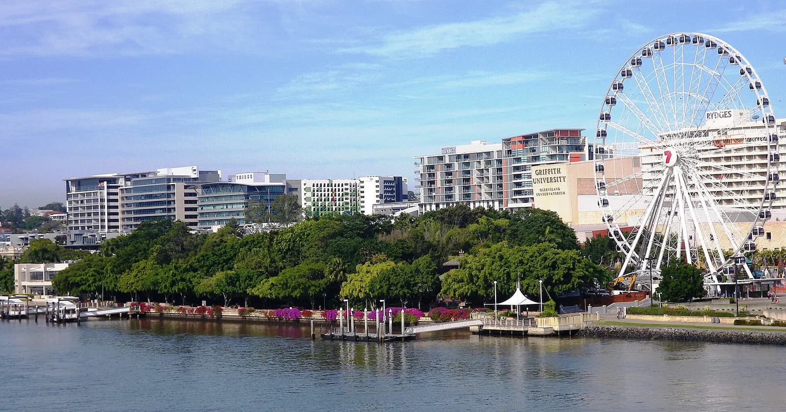 The Wheel of Brisbane above the South Bank Parklands riverfront, with the Brisbane River and the city towers behind it