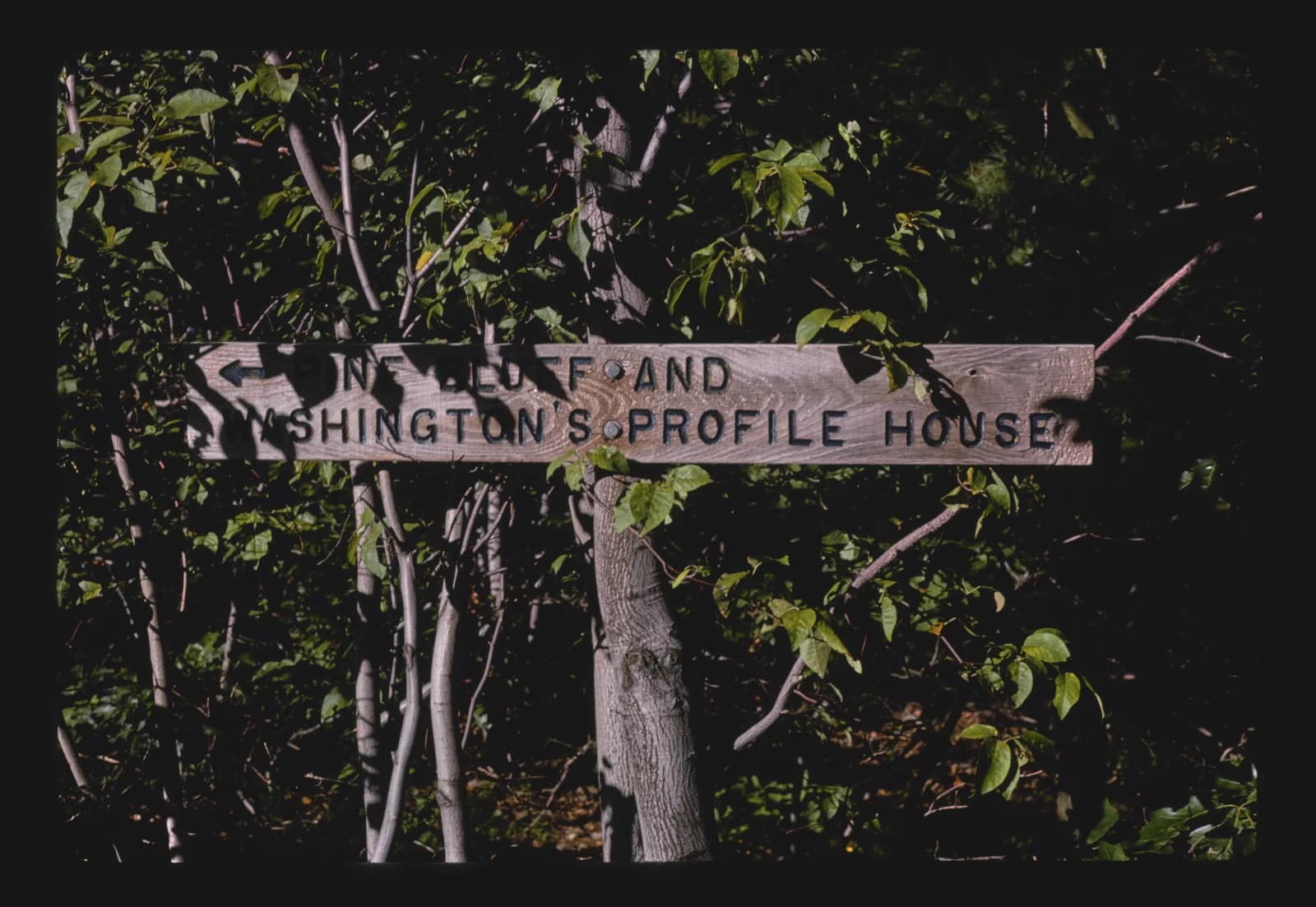 A rustic trail sign on the carriage paths above Mohonk Lake, New Paltz