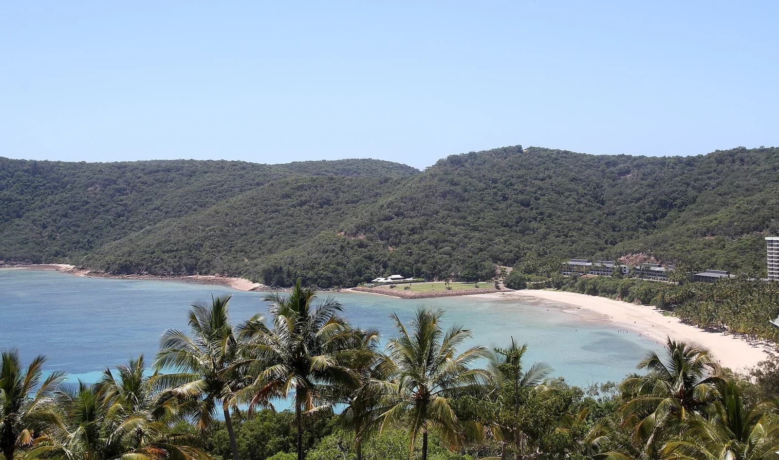 Catseye Beach on Hamilton Island in the Whitsundays, the swimmable resort bay framed by palms and forested hills