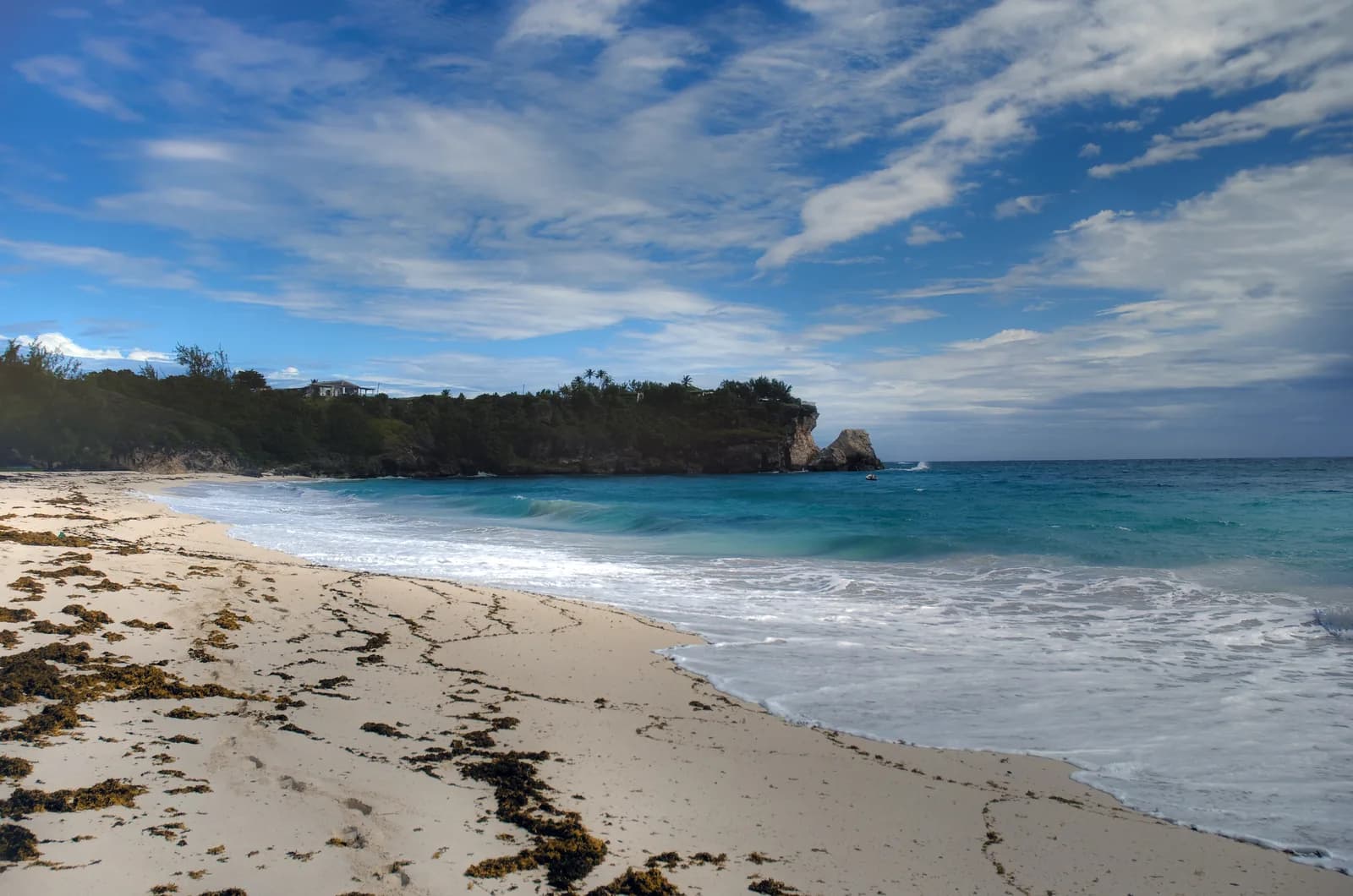 Surf breaking on a Barbados beach below a low wooded cliff, with seaweed drifted along the tideline