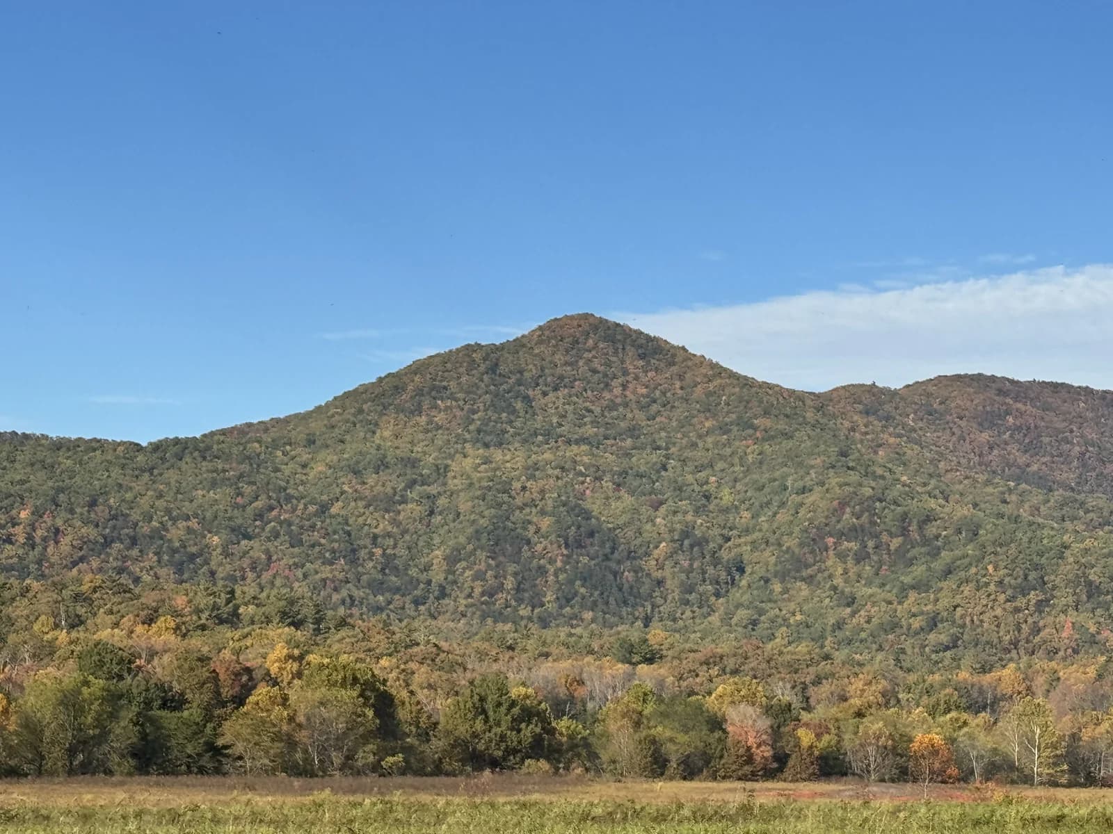 A forested Smoky Mountain peak above the open valley at Cades Cove, near Pigeon Forge