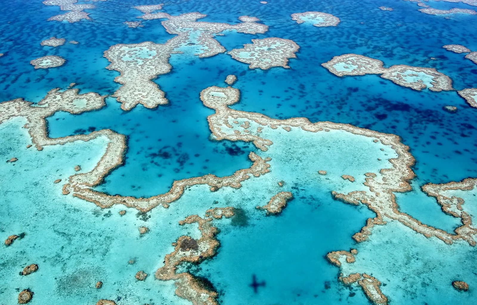 The reef colours in the shallows off the Whitsunday Islands near Airlie Beach in Queensland