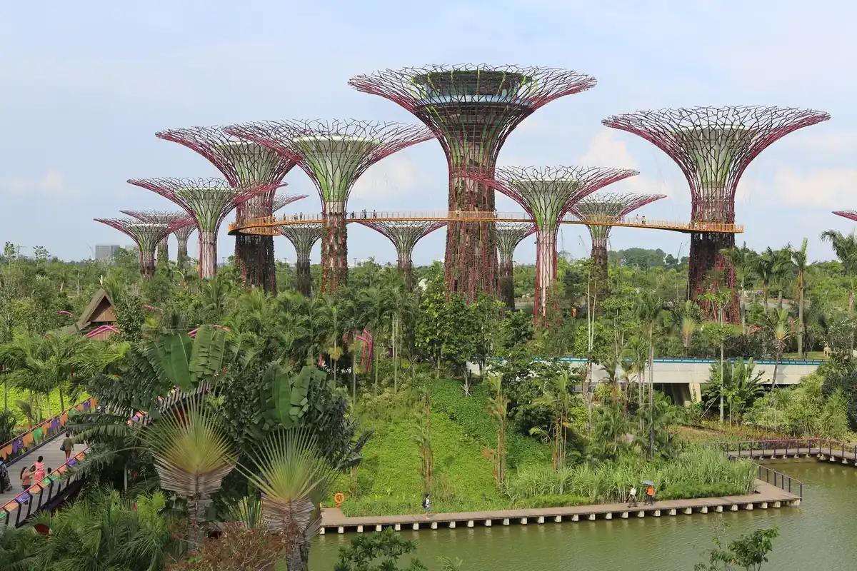 Gardens by the Bay in Singapore, across the water from the bayfront hotels