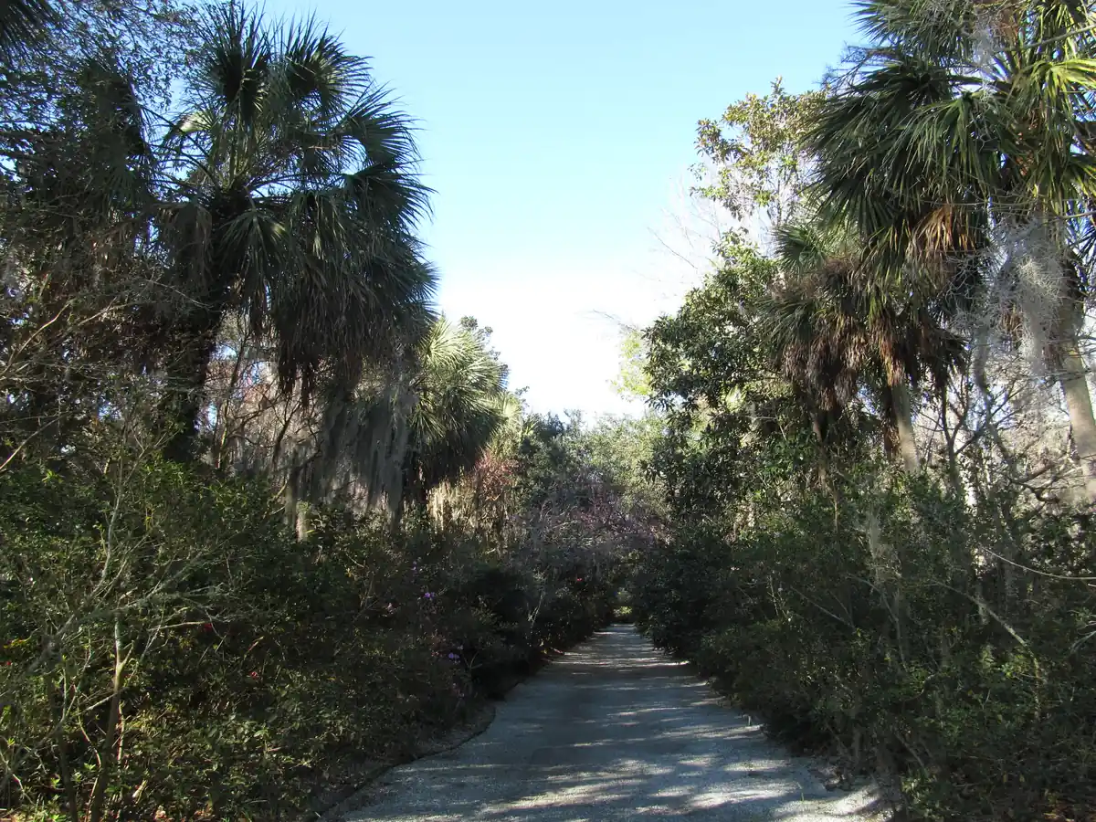 A Lowcountry plantation & its gardens in Charleston