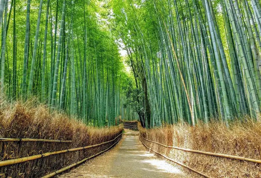 Arashiyama in Kyoto