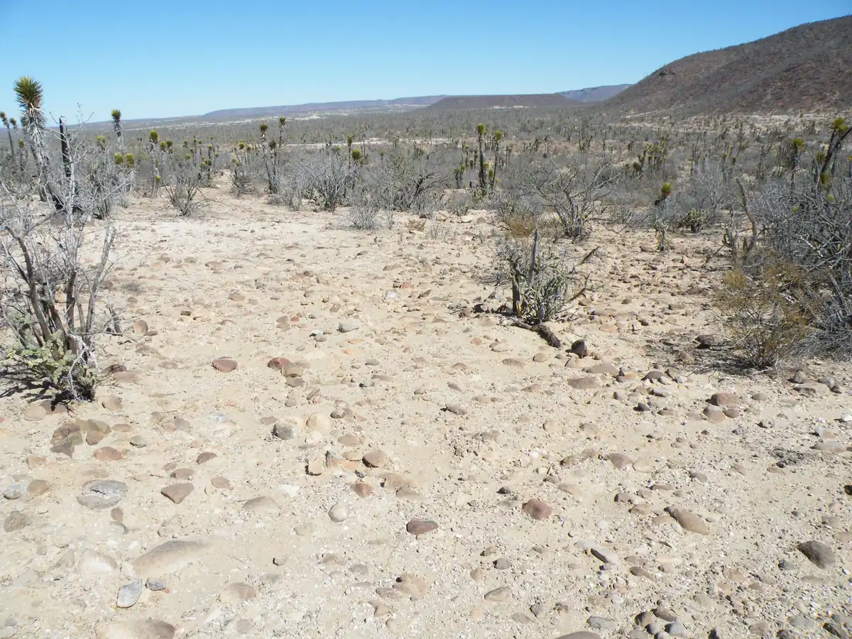 ATV & UTV desert tour in Cabo San Lucas