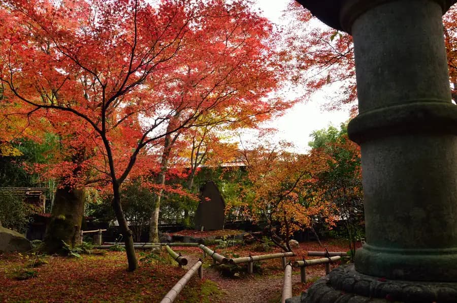 Autumn foliage (koyo) in Japan