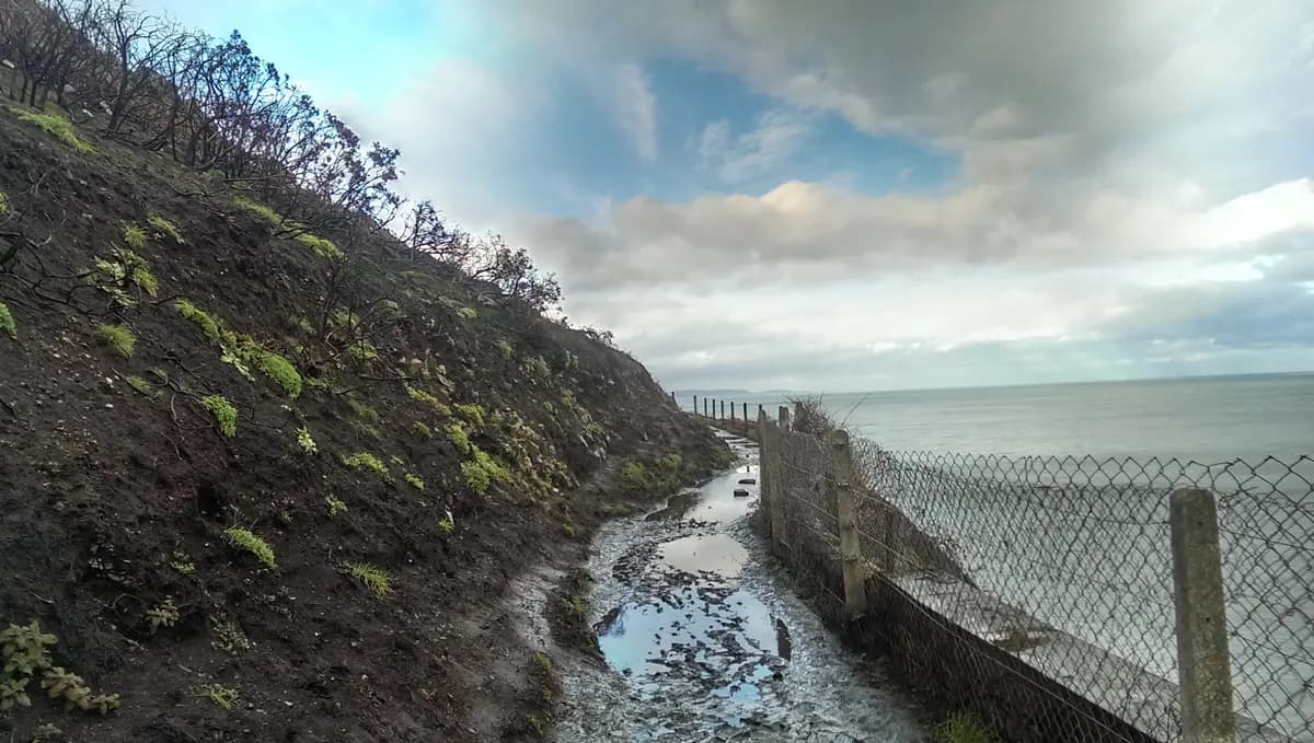 Bray to Greystones cliff walk, a day trip from Dublin