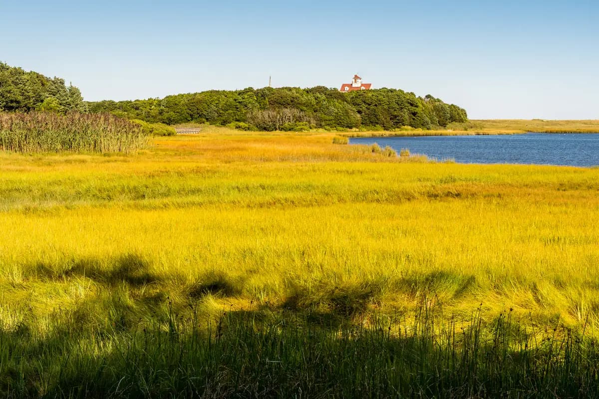 Cape Cod, USA