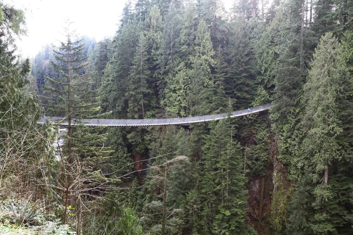 Capilano Suspension Bridge Park, a day trip from Vancouver