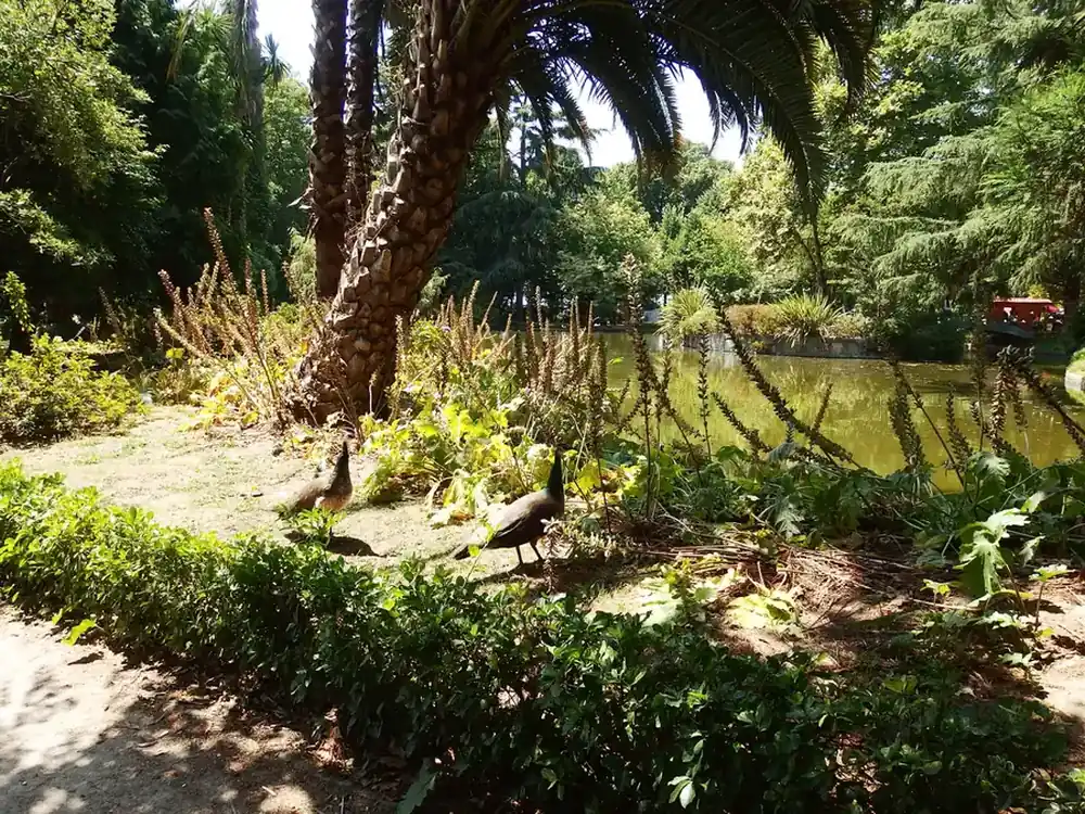 Crystal Palace gardens (Jardins do Palacio de Cristal) in Porto