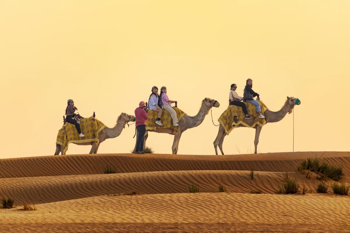 Desert safari season in Dubai