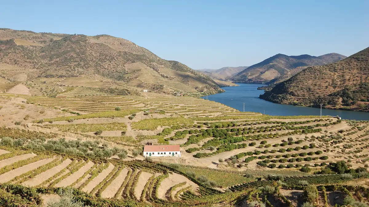 Douro valley wine day trip in Porto