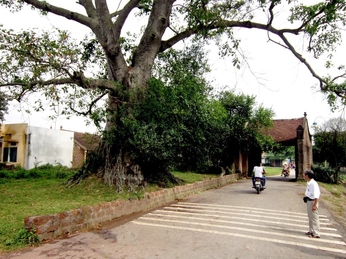 Duong Lam, a day trip from Hanoi