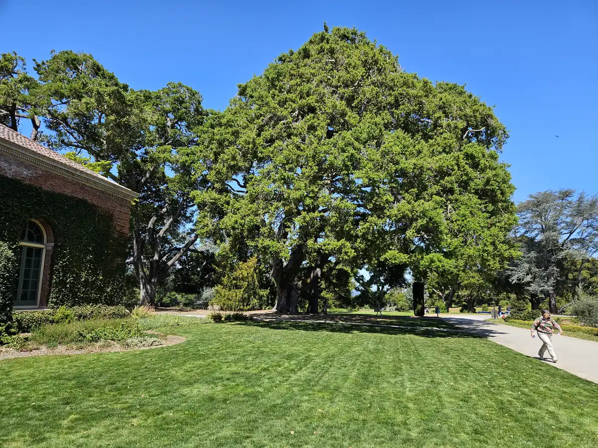 Filoli, a day trip from San Francisco