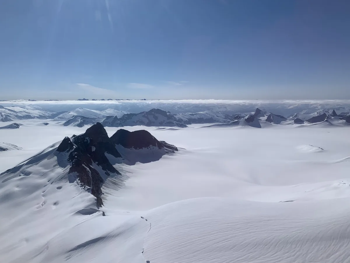 Helicopter glacier landing & dog sledding in Juneau