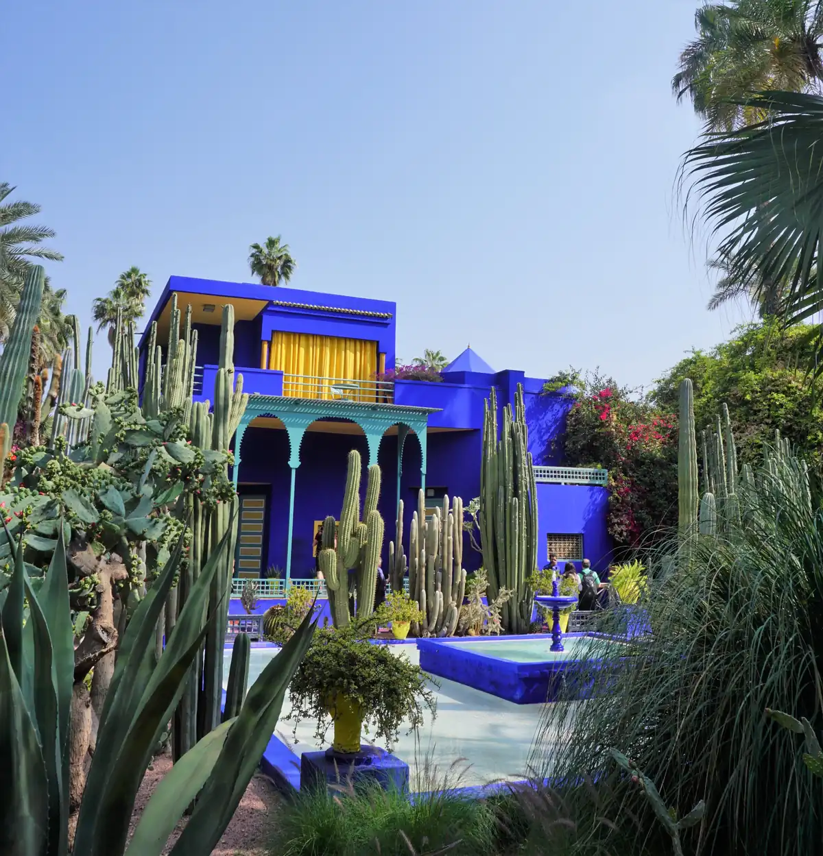 Jardin Majorelle & the YSL Museum in Marrakech