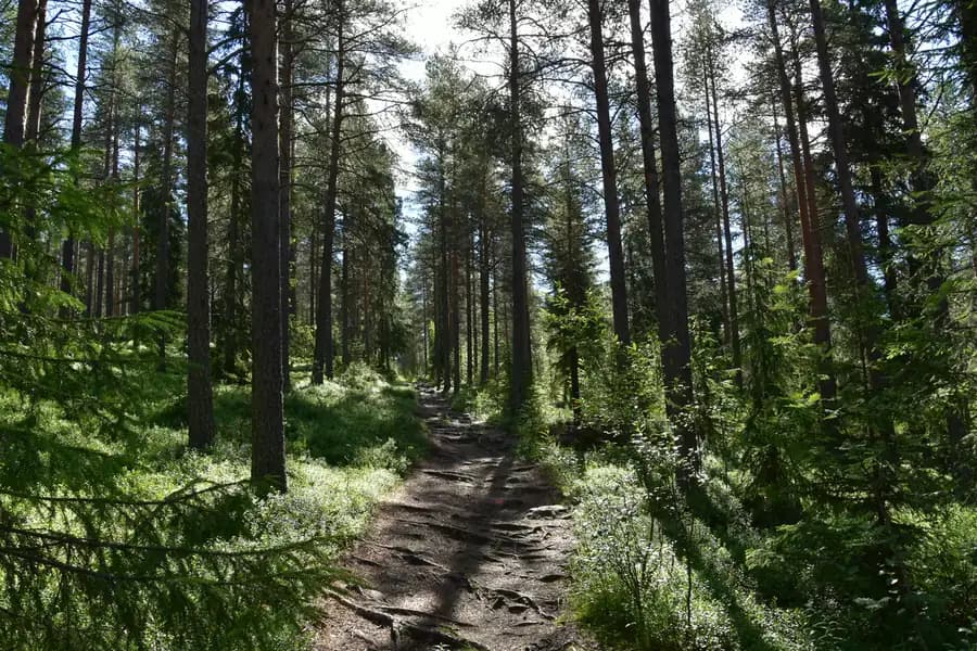 Lapland (Rovaniemi), Finland