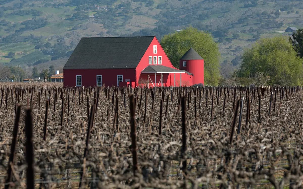Napa Valley, a day trip from San Francisco