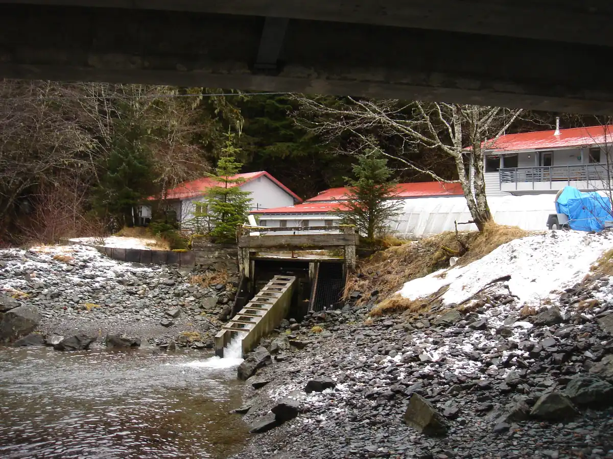 Salmon hatchery & Alaska seafood in Juneau
