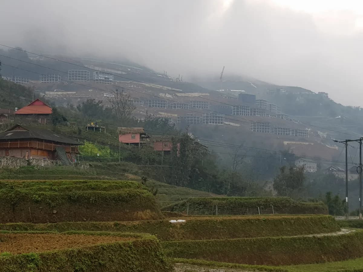 Sapa rice terrace season in Vietnam