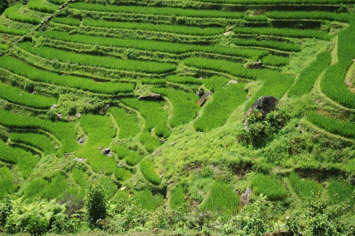 Sapa, a day trip from Hanoi