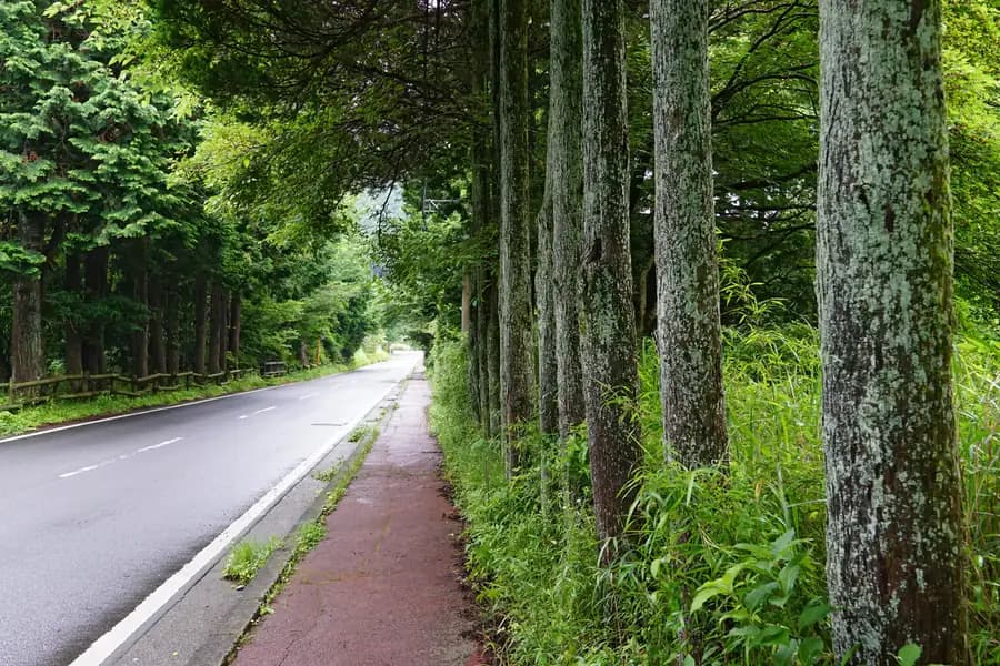 Sengokuhara in Hakone