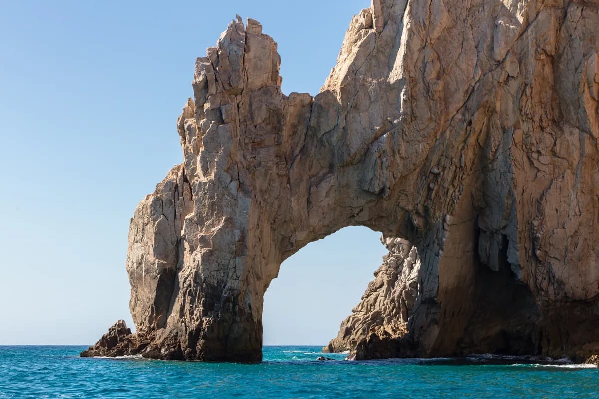 Swim with dolphins & glass-bottom boats in Cabo San Lucas