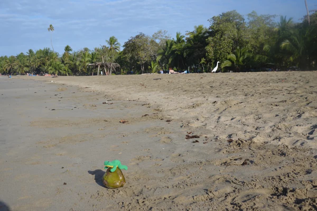 The Caribbean side (Puerto Viejo), Costa Rica