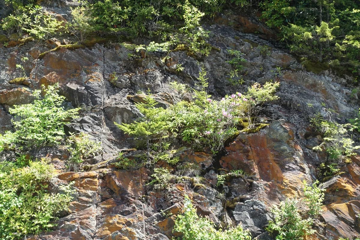 The Great Smoky Mountains, a day trip from Nashville