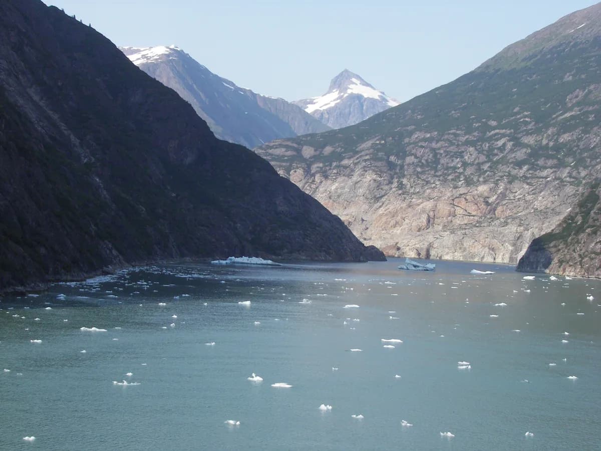 Tracy Arm Fjord or Sawyer Glacier in Juneau