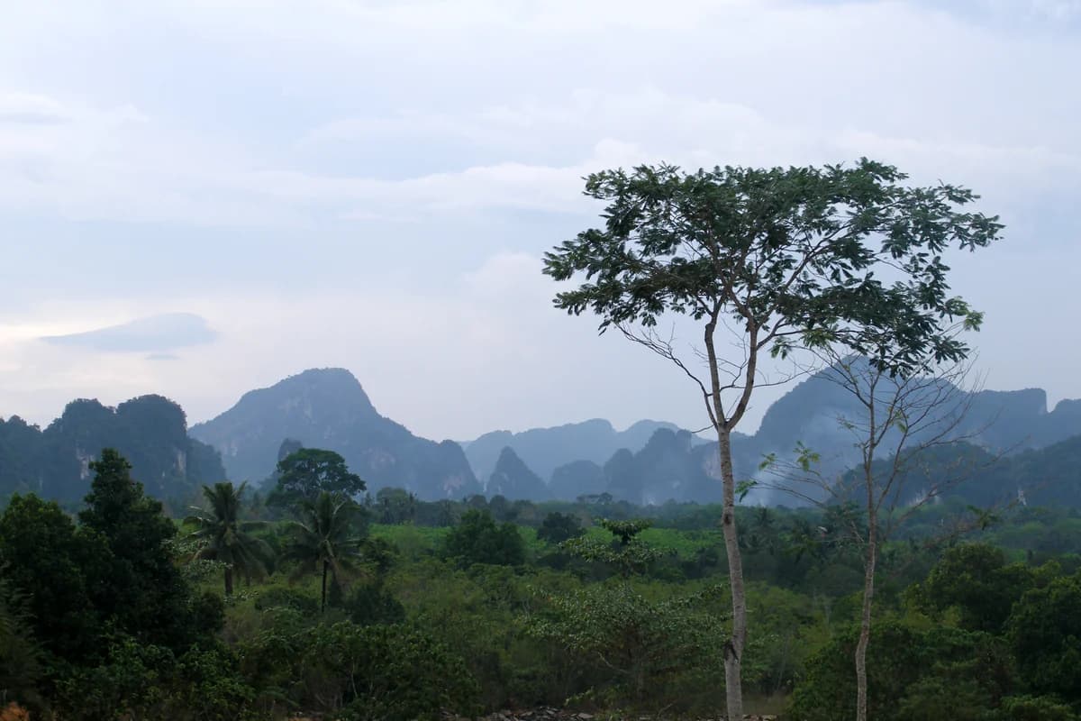 Tubkaek in Krabi