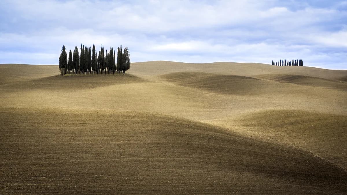 Val d'Orcia & Montepulciano, a day trip from Florence