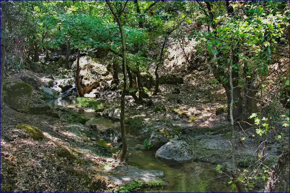 Valley of the Butterflies (Petaloudes) in Rhodes