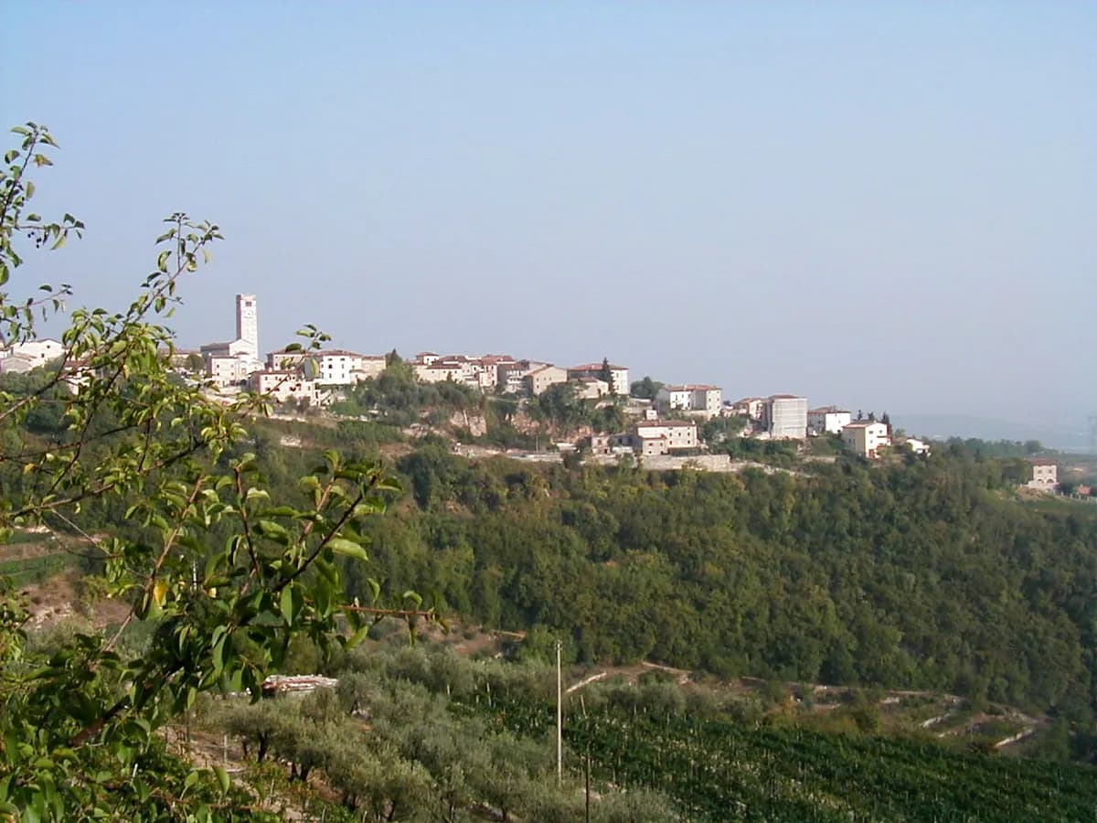 Valpolicella hills in Verona