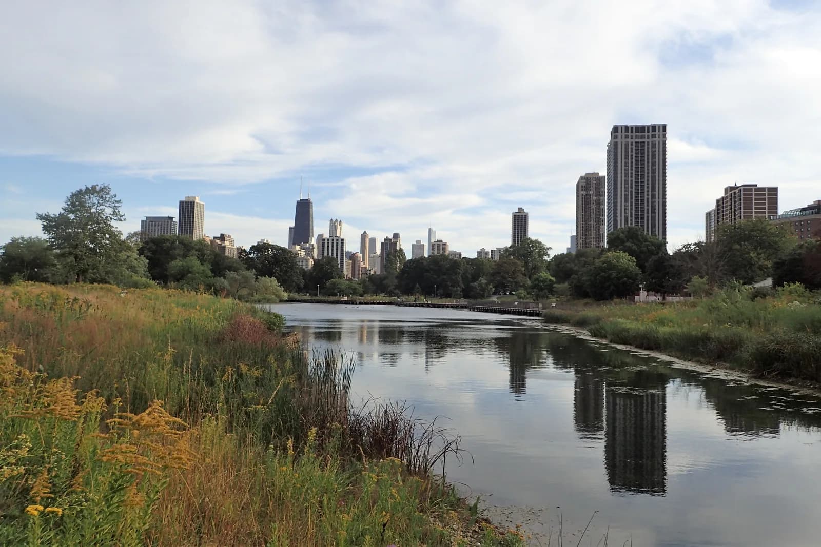 The Lincoln Park lagoon in Chicago with prairie planting along the bank and the city skyline rising beyond the trees