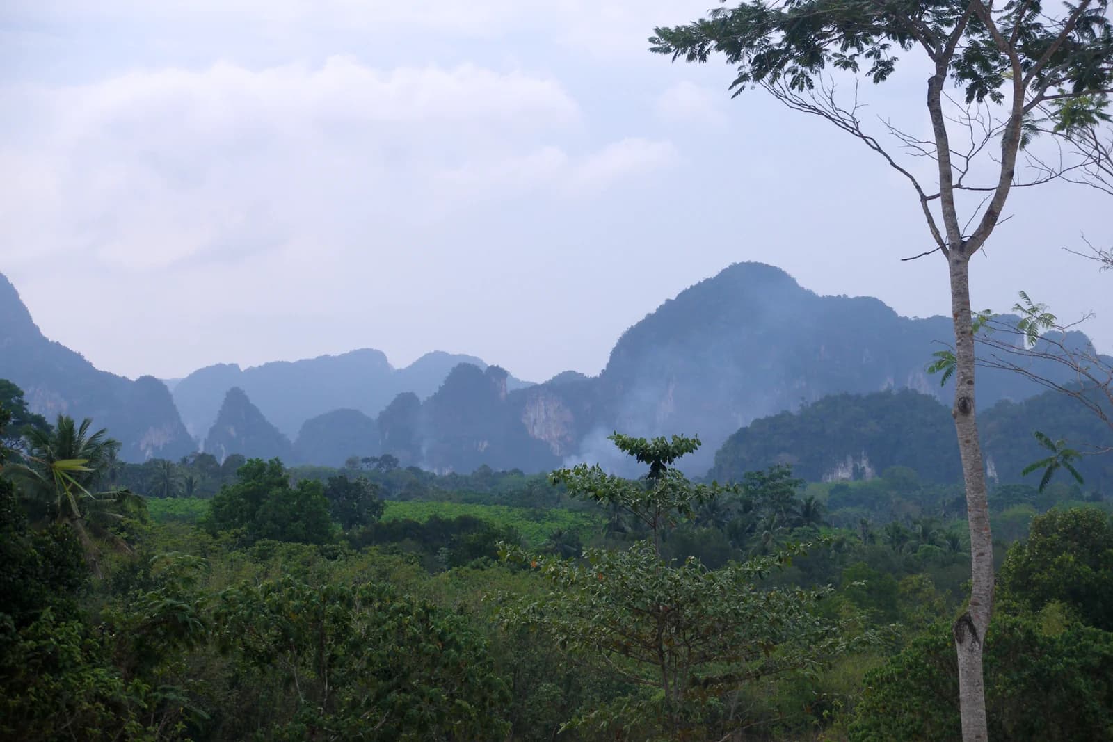Limestone karst towers rising from the sea off the Krabi coast in southern Thailand