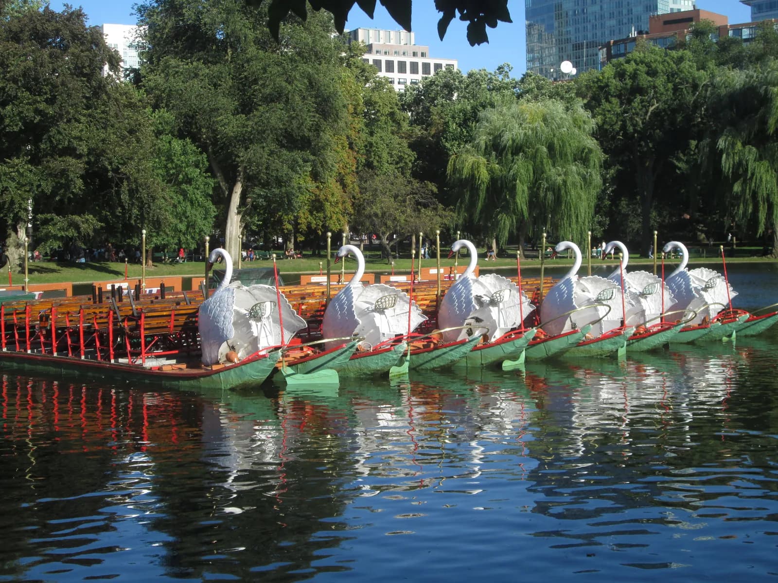 The swan boats moored on the lagoon in the Boston Public Garden, free for children under two