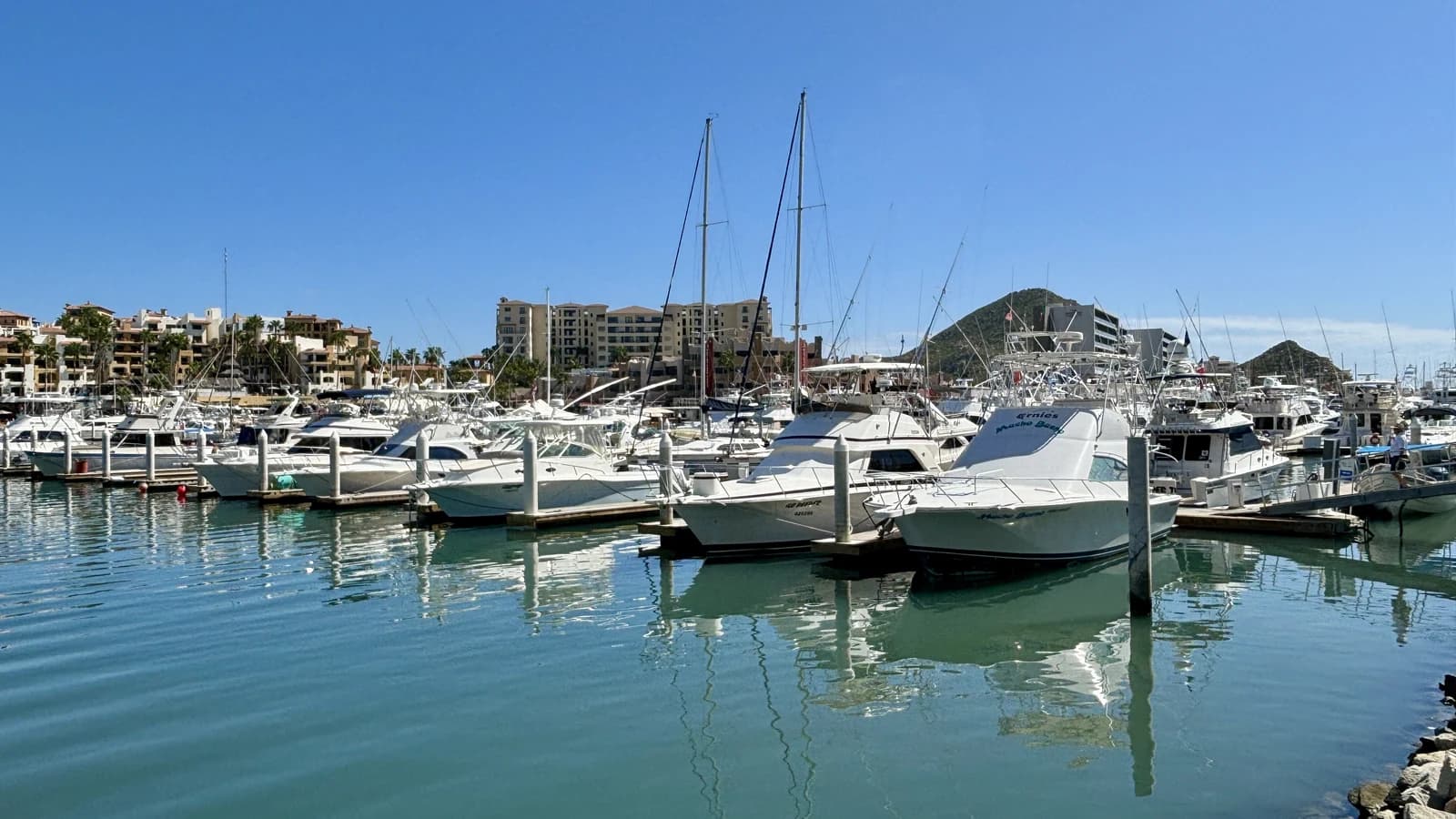 Boats moored in the Cabo San Lucas marina, the departure point for every family boat trip in town