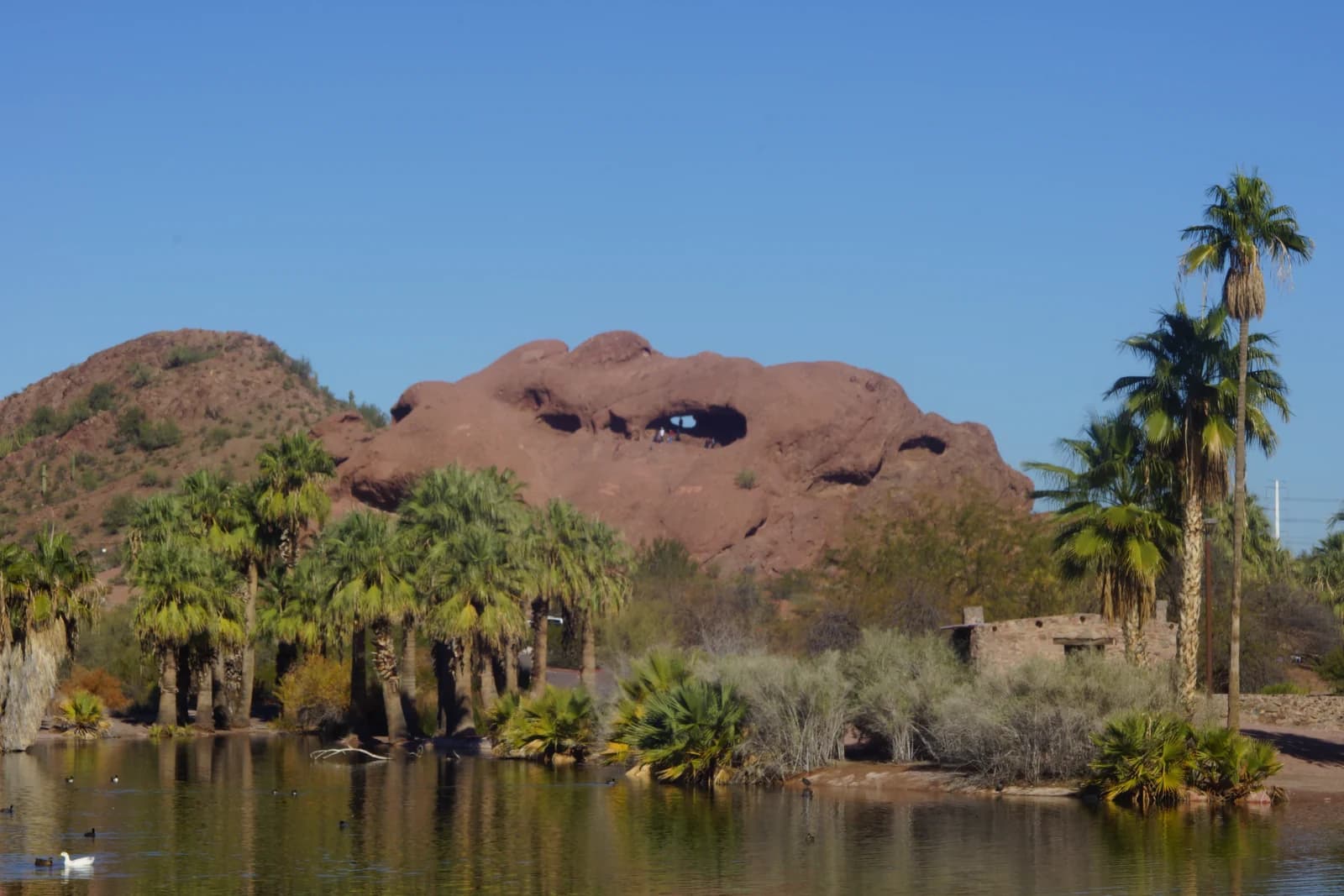 The Hole in the Rock sandstone butte above the lagoon and palms in Papago Park, Phoenix